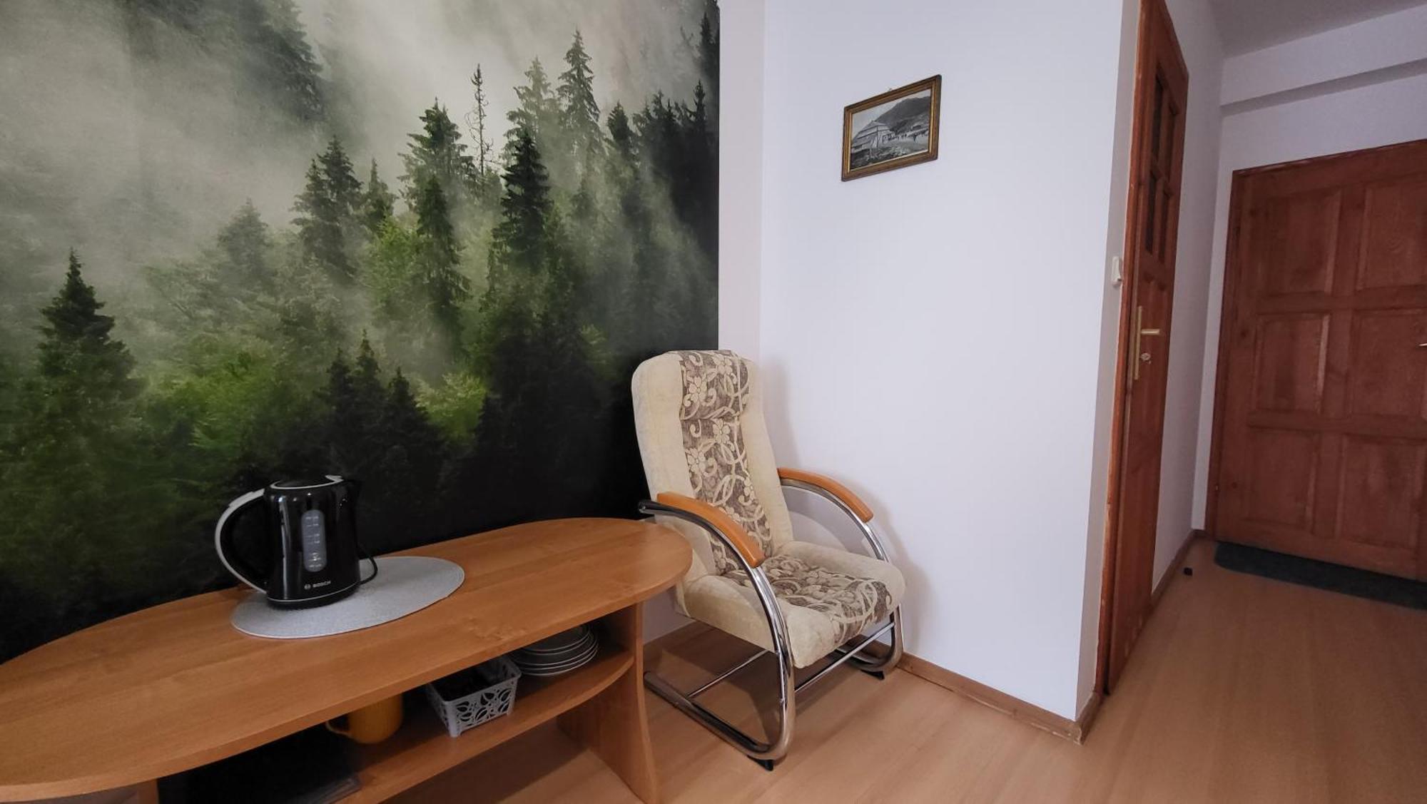 Pokoje Goscinne U Zosi カルパッチ 部屋 写真